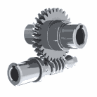 Worm Gear